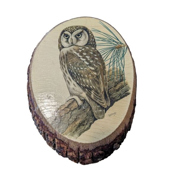 Vintage R A Vowles Print Owl On Branch Wood Slice Decoupage Plaque Nature Artist - Picture 1 of 5